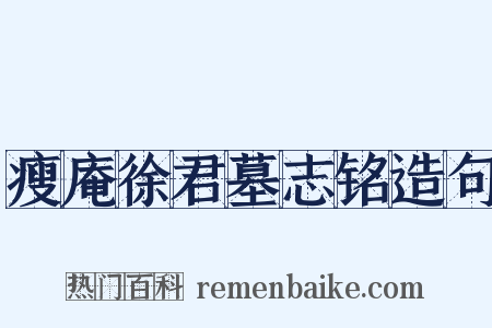 瘦庵徐君墓志铭造句是什么意思的图片